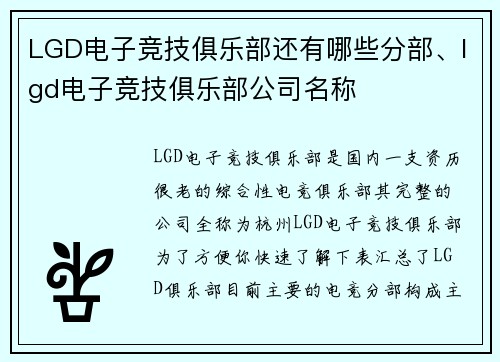 LGD电子竞技俱乐部还有哪些分部、lgd电子竞技俱乐部公司名称